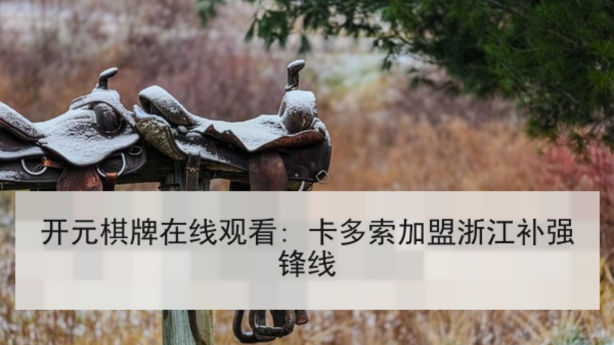 开元棋牌在线观看: 卡多索加盟浙江补强锋线