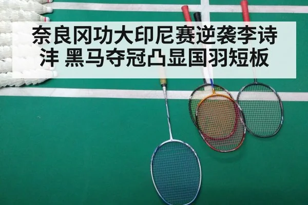 奈良冈功大印尼赛逆袭李诗沣 黑马夺冠凸显国羽短板