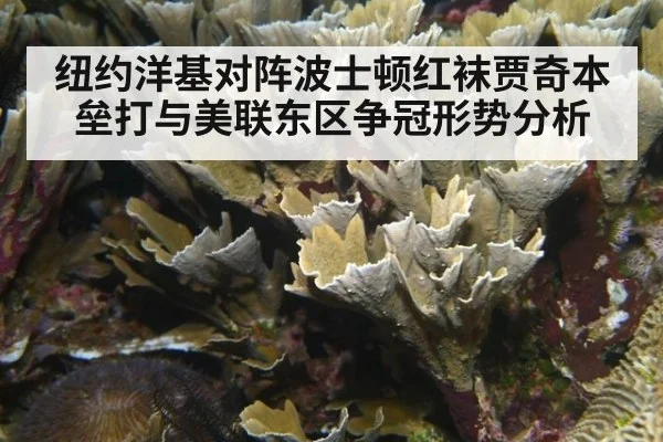 纽约洋基对阵波士顿红袜贾奇本垒打与美联东区争冠形势分析